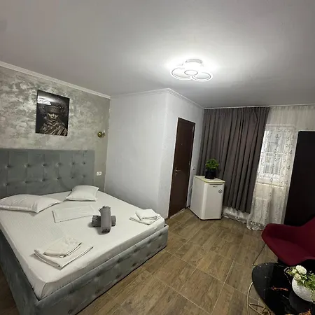 Pensiunea Diamond בית הארחה